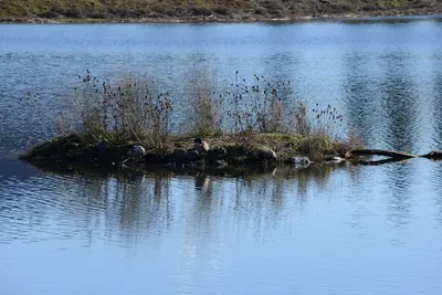 DSC_1146 (Large).JPG